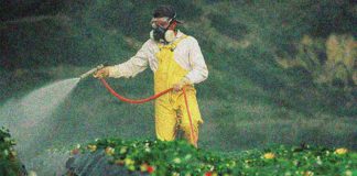 México ya prohíbe importación de glifosato