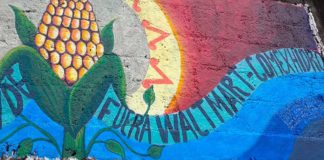 Revocan permiso a hidroeléctrica para Walmart en la Sierra Norte de Puebla