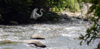 La Ley Ciudadana del Agua necesaria para la Cuarta Transformación del país: Coordinadora Agua para Todos