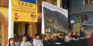 Exigen cancelar megaproyectos en Sierra Juárez y Región Mixe en Oaxaca