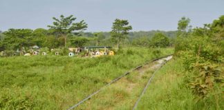 Pueblos frenan trabajos del Tren Transístmico, exigen información clara