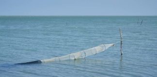 Cooperativas se oponen al tránsito de barcos en zona lagunar de Oaxaca