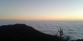 Juez ordena cancelar concesiones mineras en la Sierra Norte de Oaxaca