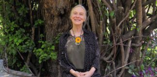 Más de 30 senadores avalan y apropian la Iniciativa Ciudadana de Ley General de Aguas