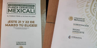 Secretaría de Gobernación se inclina por Constellation Brands en vísperas de la consulta