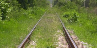 Semarnat suspende MIA del Tren Transístmico