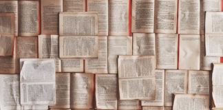 Lanzan convocatoria para el Doctorado Interinstitucional en ESS región Centro-Occidente