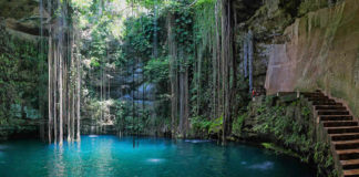 Fonatur y Conacyt ocultan información relacionada al Tren Maya