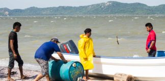 Cooperativas pesqueras llaman a tomar medias urgentes ante el Covid-19