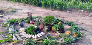 Ante la pandemia el campo es nuestra esperanza: Centro Indígena Flor y Canto