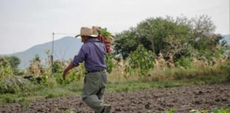 Organizaciones proponen transición de la Economía del Capital a la Economía Solidaria