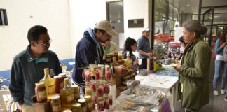 Sector social de la economía puede apoyar a salir de la crisis: Rafael Martínez Ponce