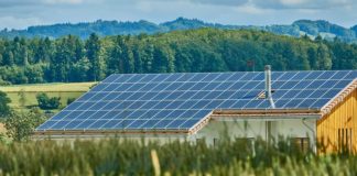 Greenpeace alerta de peligros ambientales del plan de recuperación de AMLO