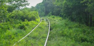 CNDH otorga medidas cautelares para suspender “actividades no esenciales” del Tren Maya