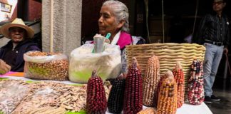 Conacyt apoya investigación sobre prácticas agroalimentarias ante escenarios de pandemias