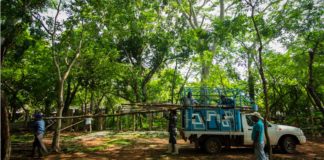 Sembrando Vida sirve al despojo igual que el Tren Maya y Corredor Transístmico, señala investigación