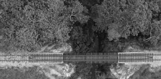 Al revocar suspensión del Tren Maya, Tribunal pone en riesgo salud de comunidades: Indignación