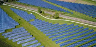 Greenpeace y CEMDA frenan con amparo acuerdo que limitaba energías renovables