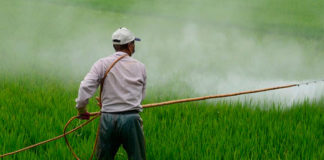 Semarnat y CNA acuerdan eliminación gradual de glifosato y evaluación de riesgo