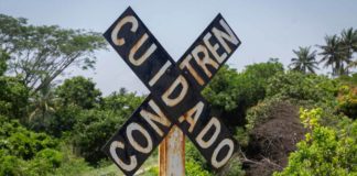 Ahora el banderazo de AMLO será para el Tren Transístmico, 150 organizaciones se oponen