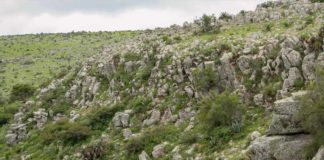 La minería será la próxima fase de contagio comunitario: REMA