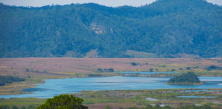 Agua Para Todos exige suspender otorgamiento y renovación de concesiones de hasta 30 años