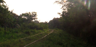 Pueblos mixes demandan detener la rehabilitación del ferrocarril del Istmo por repunte de Covid-19