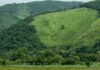 Vence el plazo para que San Miguel Chimalapa recupere sus tierras comunales