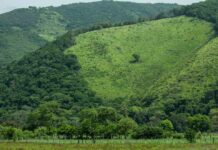 Vence el plazo para que San Miguel Chimalapa recupere sus tierras comunales