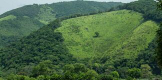 Todo el territorio de Chimalapas en riesgo ante proyectos mineros