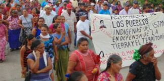 Pueblos indígenas sin respuesta a sus demandas históricas: Flor y Canto