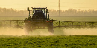 Conacyt documenta afectaciones a la salud por glifosato