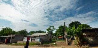 Pueblos y organizaciones constituyen la Alianza por la Libre Determinación y la Autonomía (ALDEA)