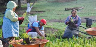 Inicia Foro Virtual Global de la Economía Social 2020
