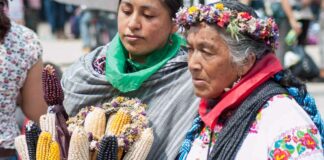 Sader propone Decreto Presidencial sobre glifosato y transgénicos que, nuevamente, no los prohíbe