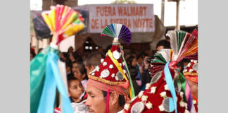 Comunidades de Puebla denuncian presiones empresariales para imponer hidroeléctrica para Walmart