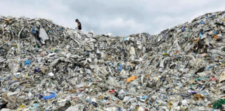 Prohíben venta, uso y distribución de PET y unicel en Oaxaca