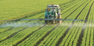No se trata de sustituir glifosato por otro químico: Red de control agroecológico de plagas