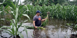 Agua Para Todos propone estrategia de prevención ante inundaciones