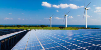 Greenpeace México gana amparo en contra del CENACE y la Política de Confiabilidad de la SENER