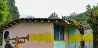 El sector social en año pandémico