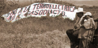 CIDH requirió al Estado información de violaciones del Proyecto Integral Morelos