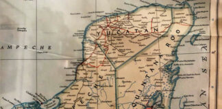 El Programa de Ordenamiento Territorial del Sureste que el gobierno va a homologar no ha sido consultado