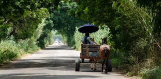 Pueblos indígenas, exentos de pago de derechos en concesiones de telecomunicaciones