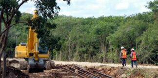 Juez concede suspensión provisional del Tren Maya en tres municipios de Yucatán