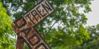 Jueza otorga tres suspensiones en contra del Tren Maya