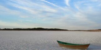 México sin política de fomento cooperativo, plantean en taller de la Cepal