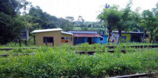 Comunidades mantienen suspendidas las obras del Corredor Interoceánico en cinco municipios mixes