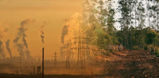 Reforma a la Ley Eléctrica provocaría daños a la salud y medio ambiente