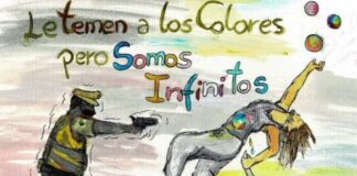 Organización internacional de economía solidaria condena asesinato de artista callejero en Chile